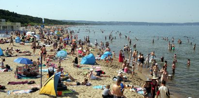 To najobrzydliwsza rzecz na plaży. Jest wszędzie