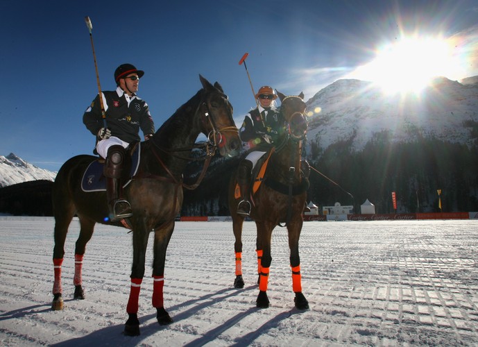Tylko konie czystej krwi angielskiej lub argentyńskiej mogą brać udział w wydarzeniu