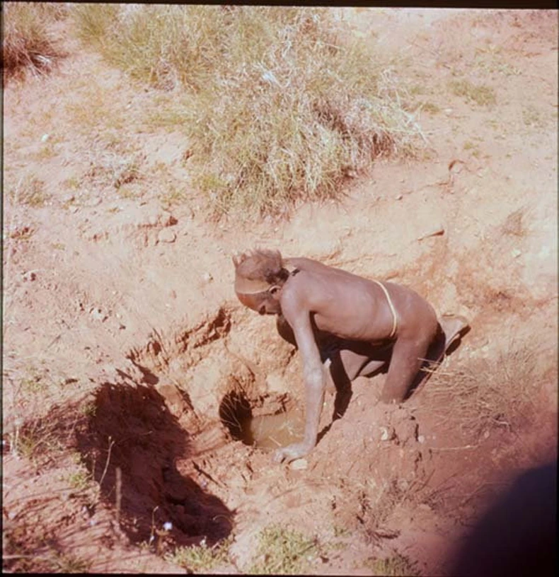 Pintupi bi zakopavali novac u rupe pošto nisu znali šta da rade sa njim