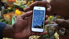 'e-Commerce in Africa to grow by 50% by 2025'