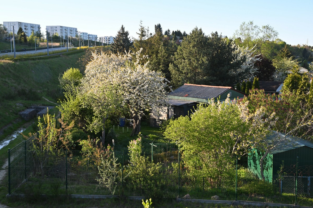 Rodzinne ogródki działkowe znikają. PZD bije na alarm. Jest apel do rządzących
