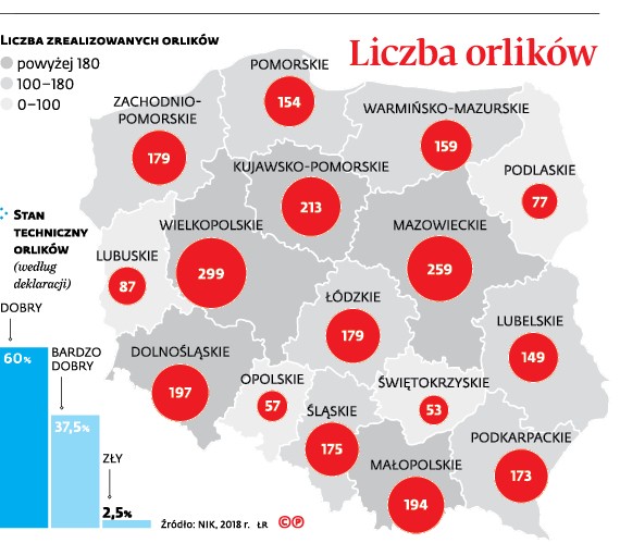 Liczba orlików