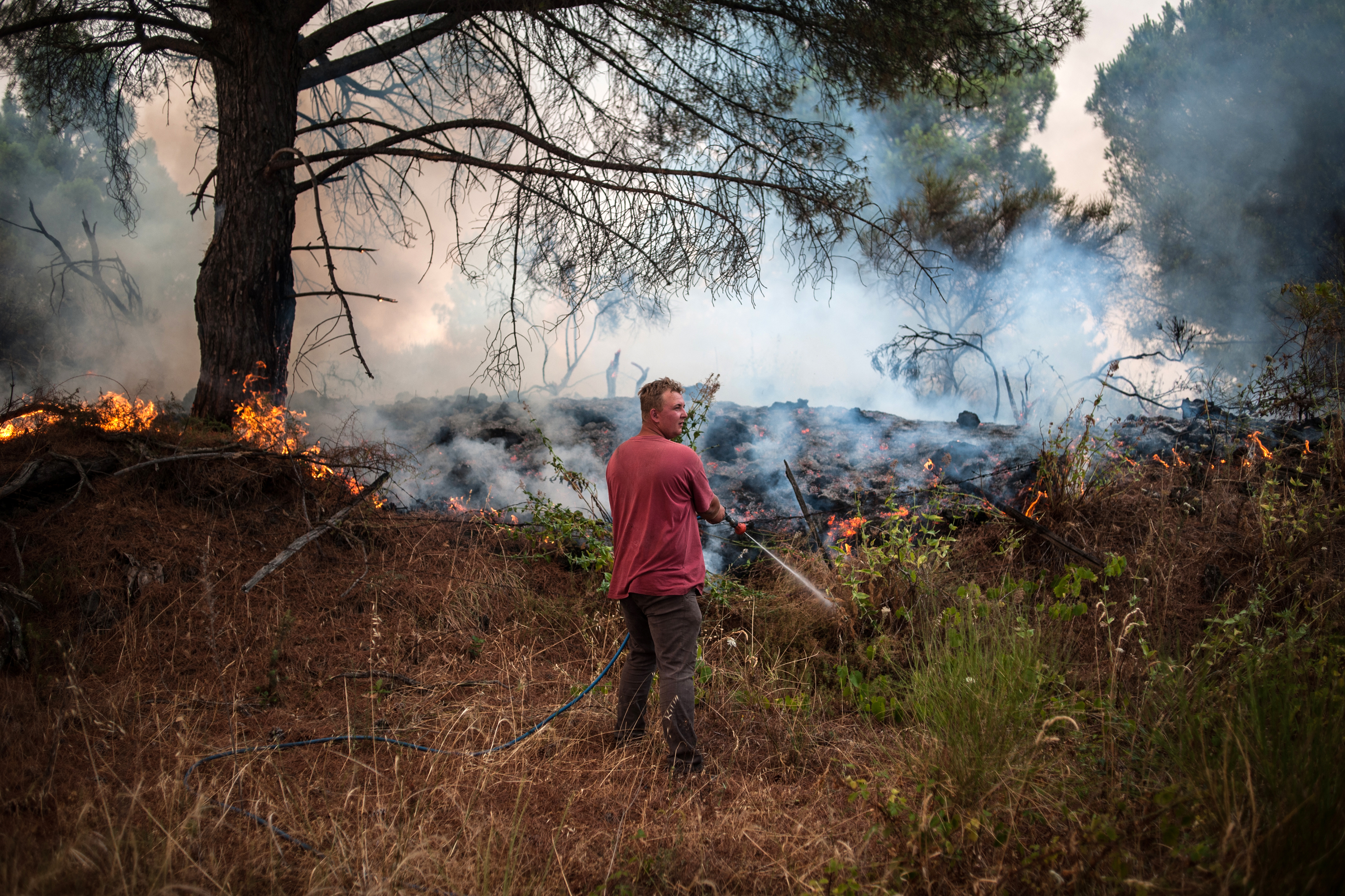 Incendio Vesuvio: rogo raggiunge quota 1050 metri a Terzigno