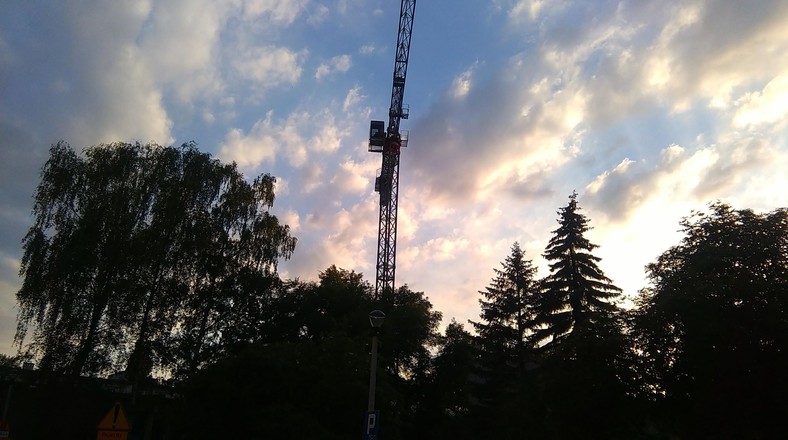 Żurwa nad osiedlem Teatralnym 19