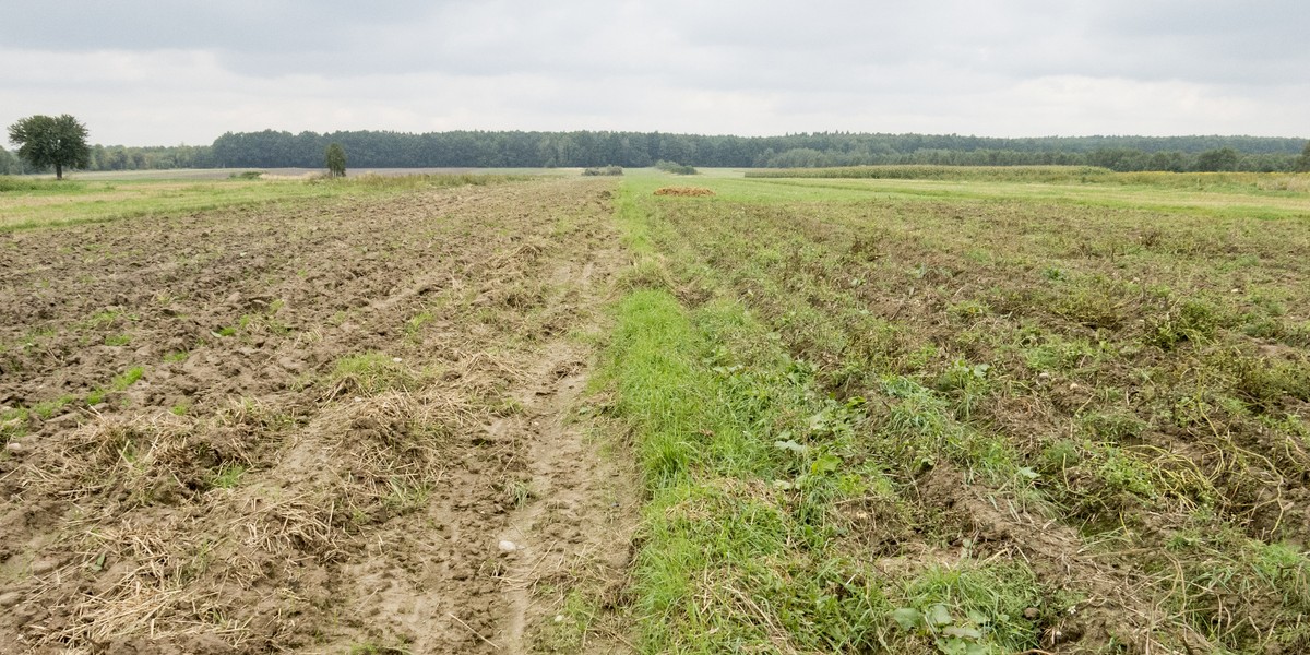 Żyją jak Kargul z Pawlakiem