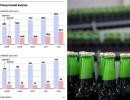 Polskie piwa podbijają świat, a zagraniczne marki nasz kraj