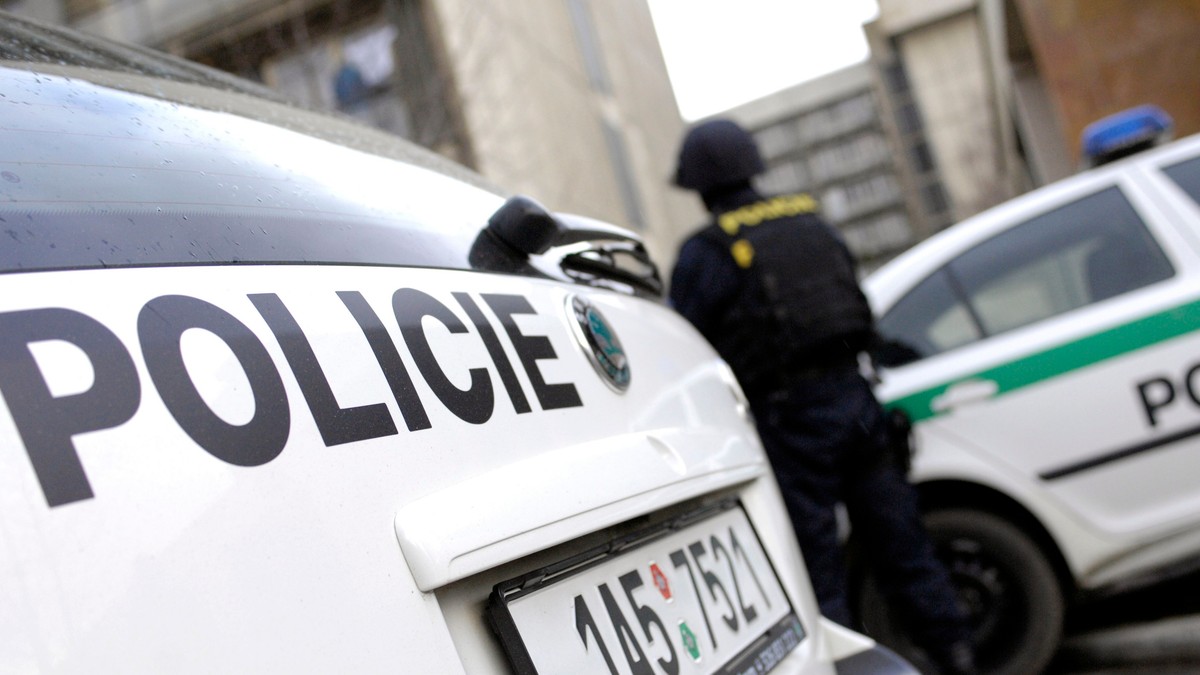 Policija, Češka