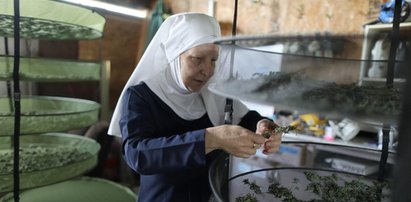 Te zakonnice mają nietypowe zajęcie. Zobacz ich plantację