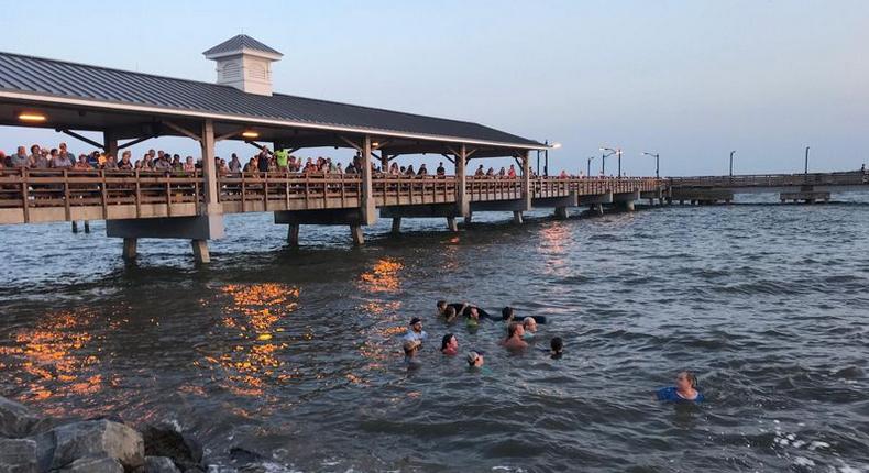 Georgia beachgoers save stranded pilot whales in dramatic rescue