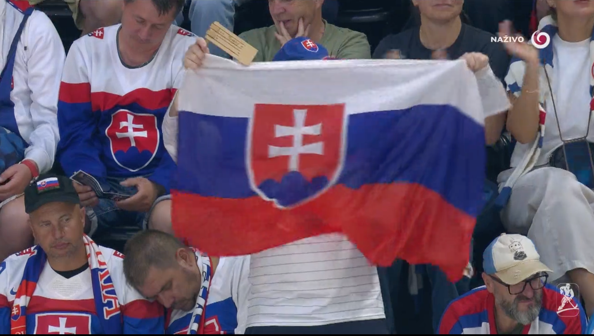 Jeden zo slovenských fanúšikov zaspal na zápase Slovensko - Kanada. 