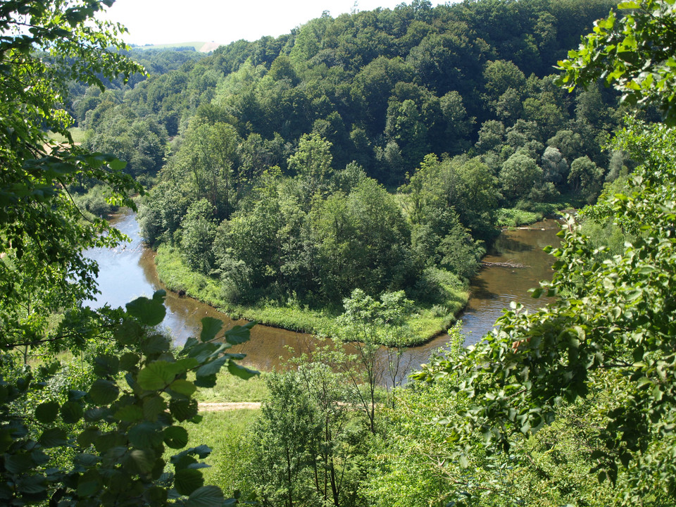 Dolina Wisłoka (woj. podkarpackie)