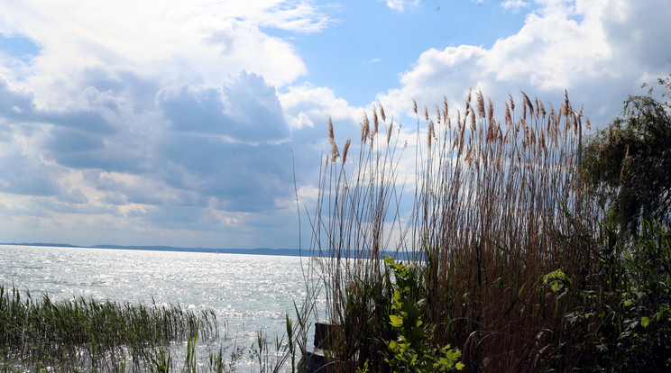 Még nyugodt a Balaton / Fotó: Pozsonyi Zita