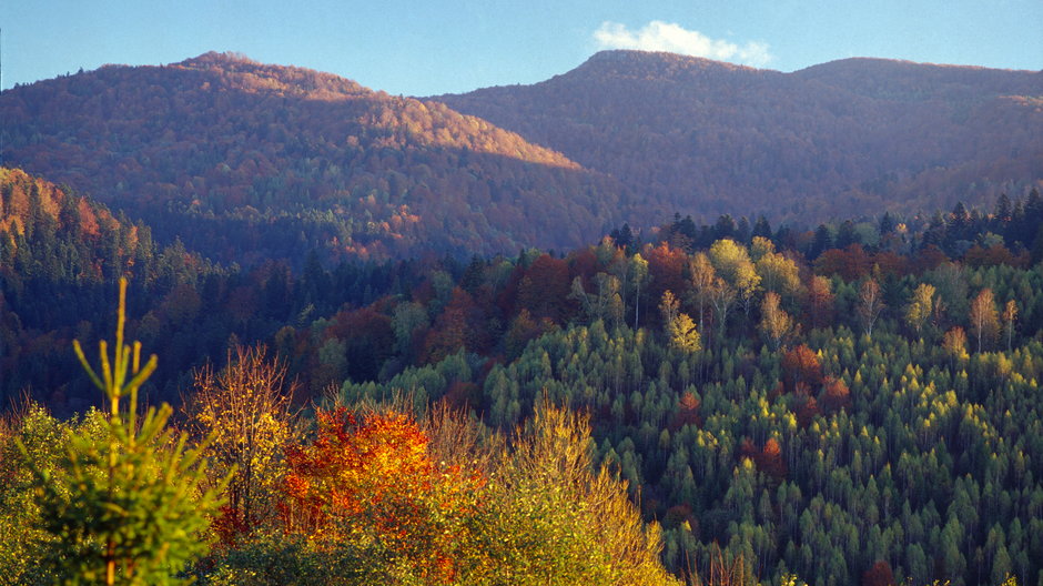 Bieszczady: nowy szlak z Cisnej na górę Hon