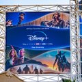 Disney+ milowym krokiem dla rynku VoD w naszym kraju. Jest data startu w Polsce