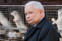 Jarosław Kaczyński zwierzęta