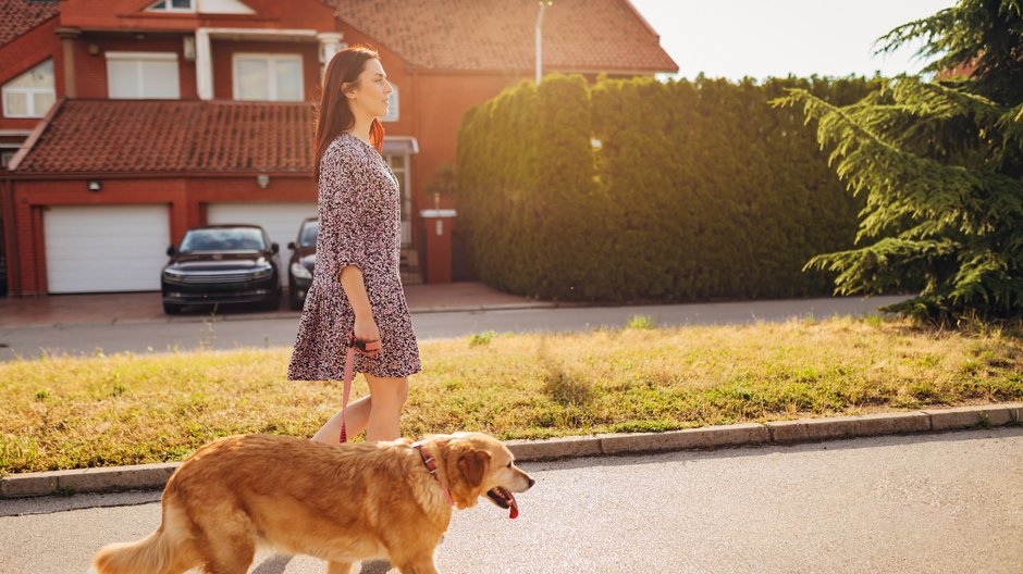 Platforma Pethomer zapewnia opiekę indywidualną. Petsitter określa swoją dostępność i stawki za poszczególne zlecenie, właściciel zaś dobiera opiekuna według swoich preferencji.