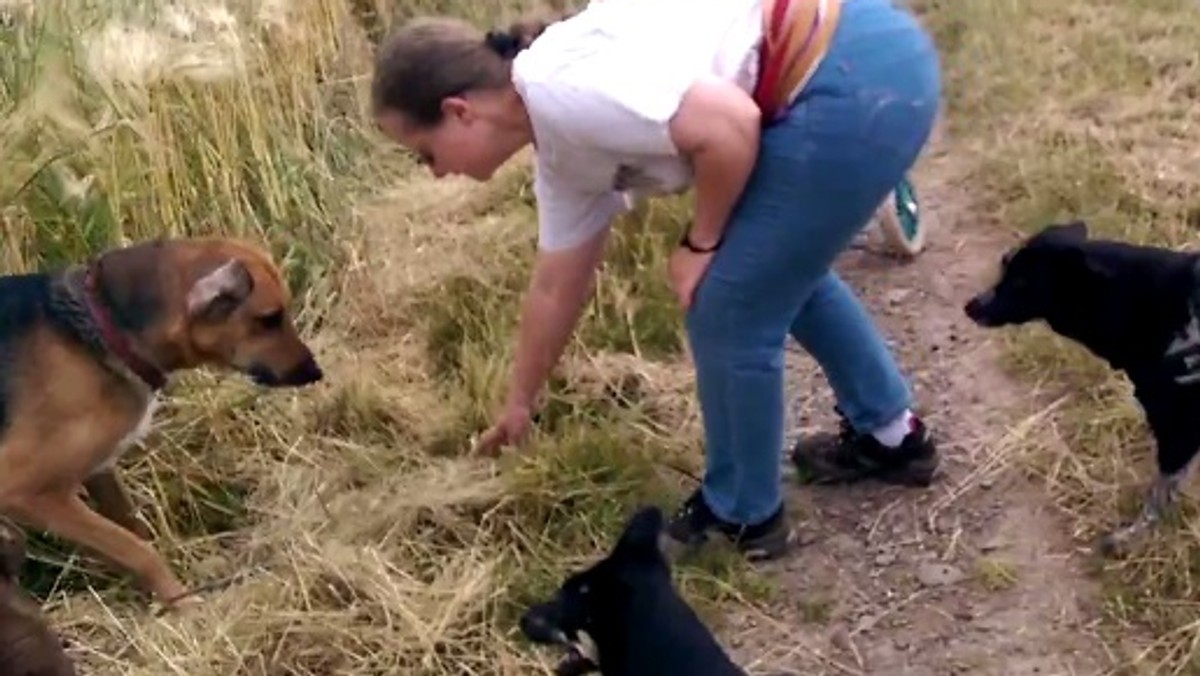 W naturalnych warunkach niepełnosprawne psy nie mają szans na przeżycie. Jednak z pomocą ludzi, mogą dalej cieszyć się każdą chwilą. I korzystają z tego w stu procentach!