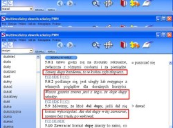 Szokujący słownik dla uczniów