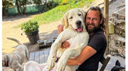 cudem odnalazł się pies polaka zaginionego we włoszech. ogromny apel d