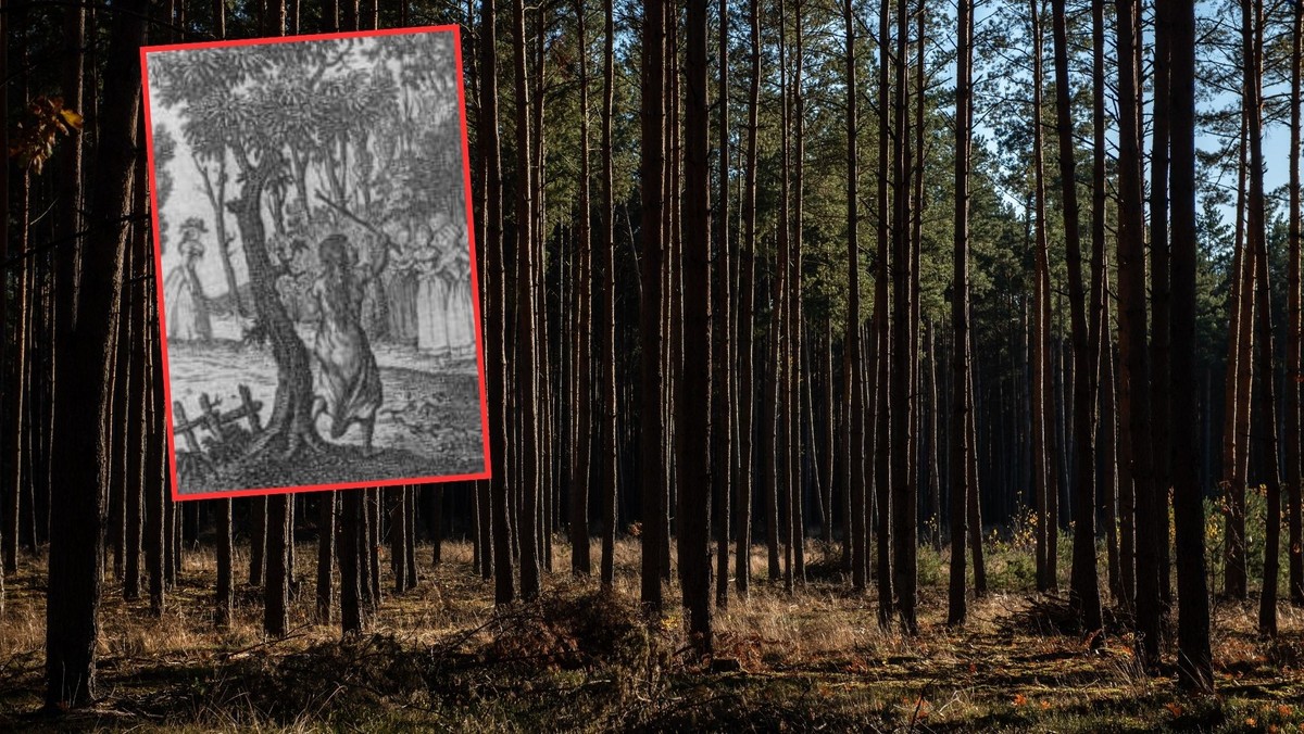 Dziewczynka przez lata żyła w lesie. Nie umiała mówić, tylko syczała i chrząkała