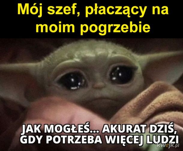Światowy Dzień Kierownika. Śmieszne memy na relaks przed pracą - Kobieta