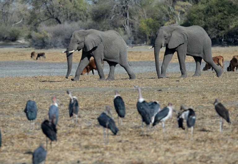 Botswana