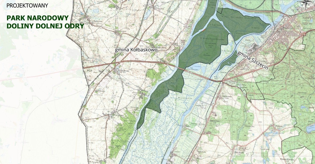 Wodny sen o potędze. Park Narodowy Doliny Dolnej Odry jego pierwszą ofiarą [KOMENTARZ]