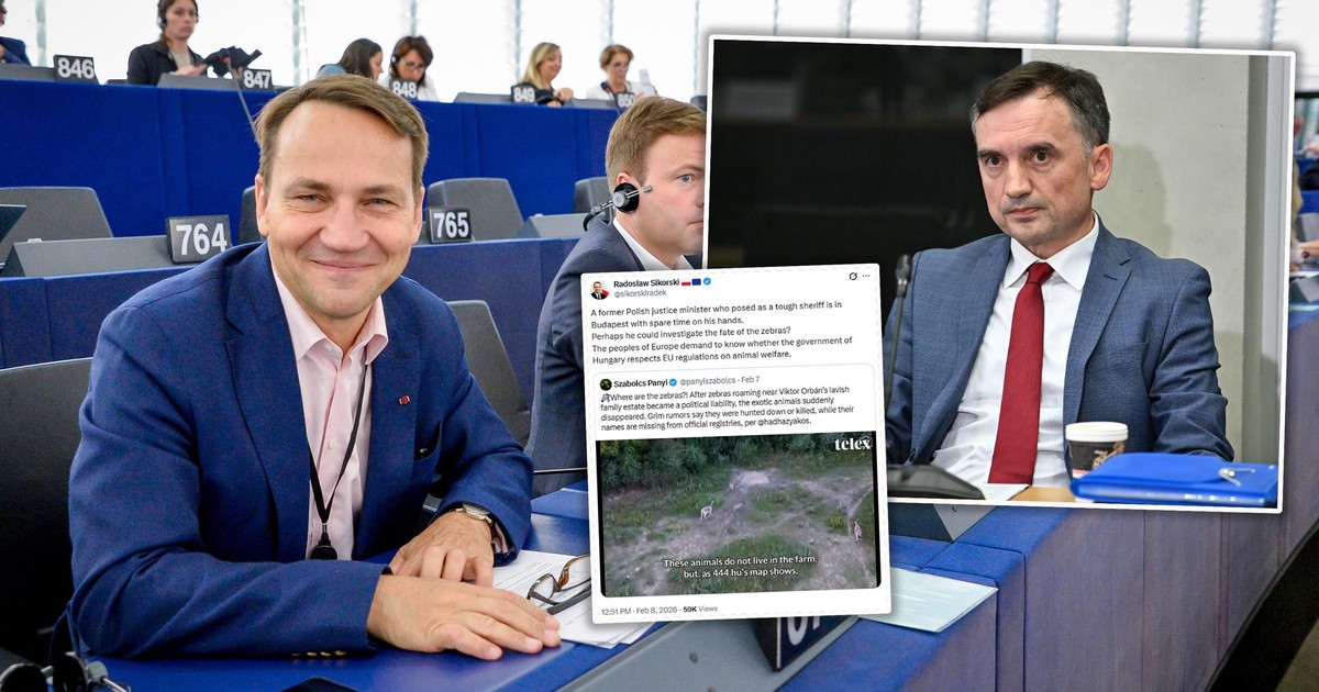 Afera Orbana: Sikorski kpi z Ziobry