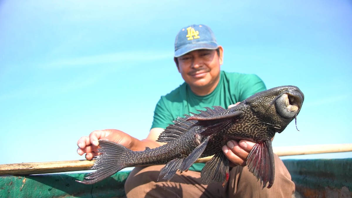 Z piekła rodem na talerz. Jaki jest prawdziwy koszt inwazji diabelskich ryb?