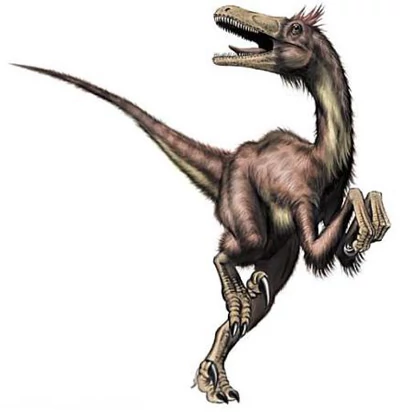 Velociraptor w wersji naukowców