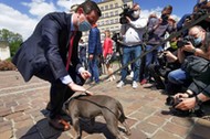 Władysław Kosiniak-Kamysz podczas konferencji prasowej w Krakowie, 16 maja 2020 r.