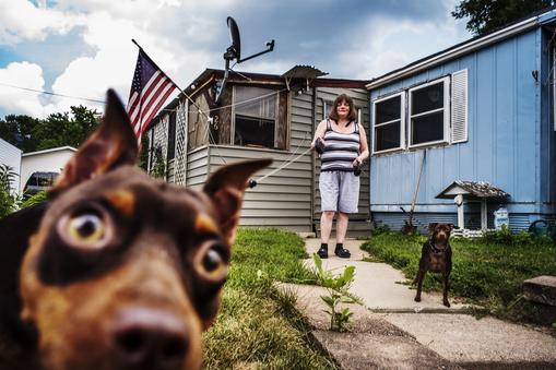 Holly i Buddy to para psich mieszkańców Landfall, maleńkiego miasteczka z domami mobilnymi w Minnesocie.