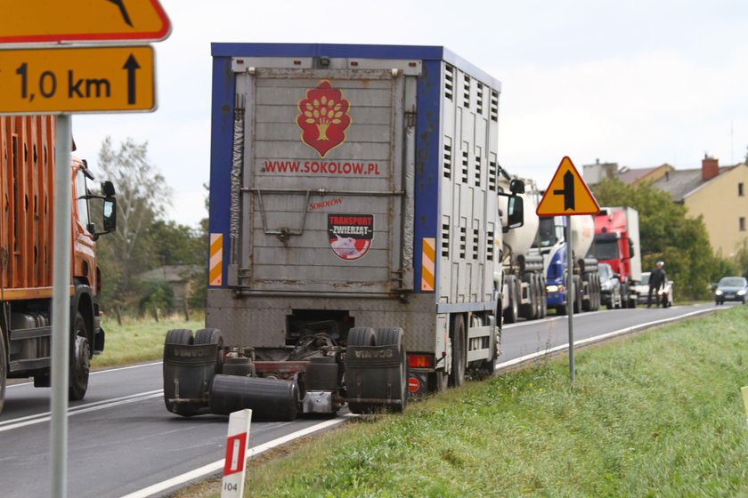 Wypadek ciężarówki ze świniami w Dębnie