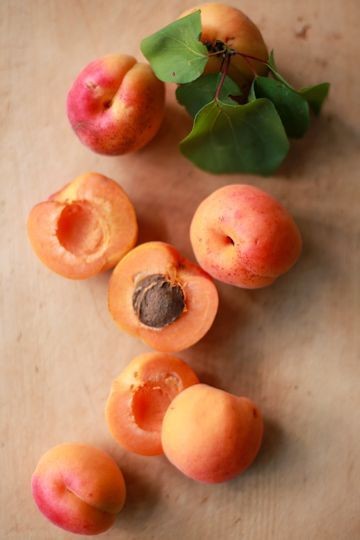 Apricot