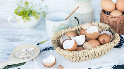 Eggshells are useful [Tomsguide]