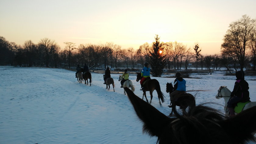 Ferie zbiżają się wielkimi krokami! Sprawdź, gdzie są wolne miejsca