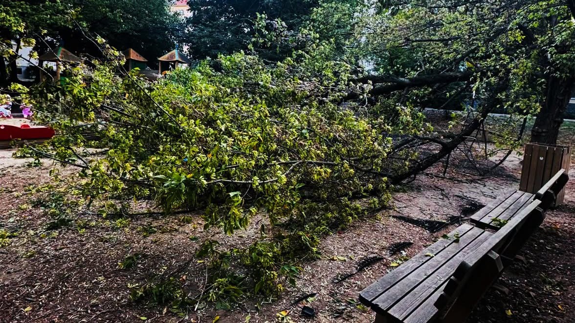V bratislavskom Ružinove spadli v utorok časti stromu na ihrisko