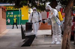 Wypożyczają psy, by wyjść z domu. Tak Hiszpanie łamią kwarantannę