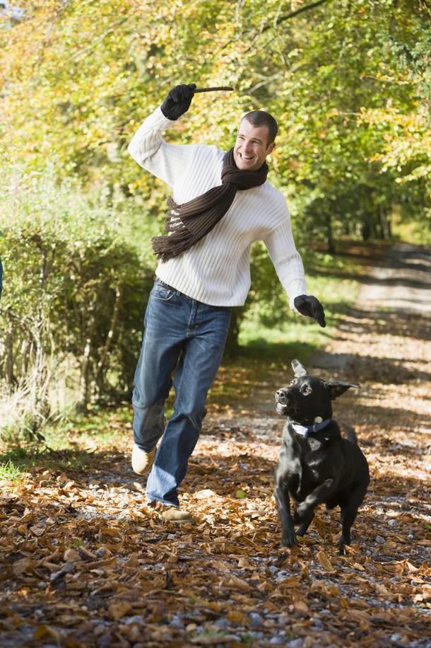 Man exercising dog in woodland