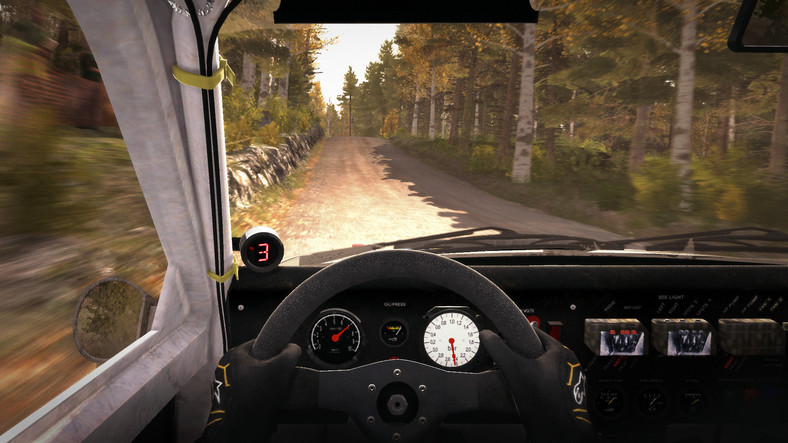 Dirt Rally