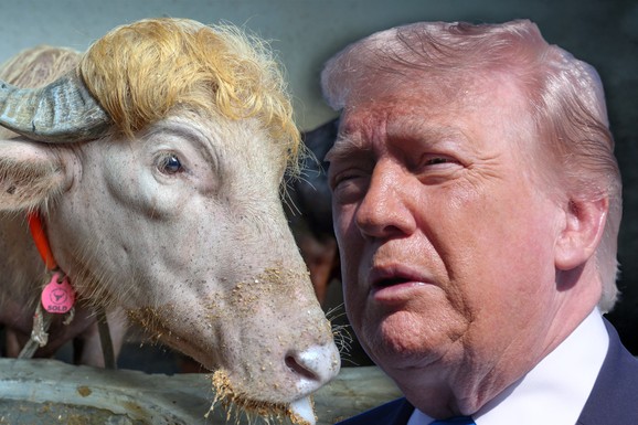 PRONAĐI RAZLIKU Bivo dobio nadimak po Donaldu Trampu i 