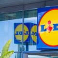 Lidl ujawnił wyniki. Polski oddział generuje 5 proc. globalnych przychodów firmy