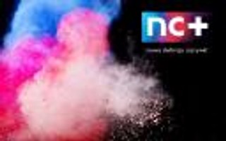 nC+: Lis krytykuje, TVN milczy, a abonenci nie dają za wygraną