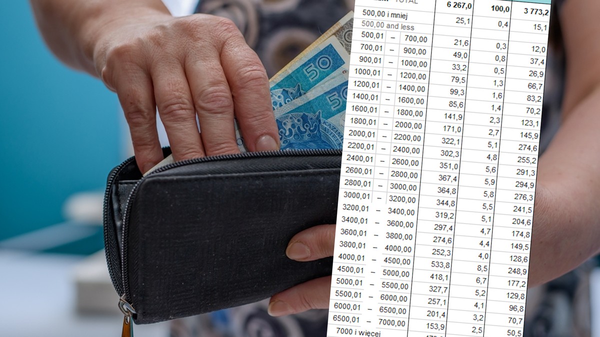 Emerytury bez tajemnic. Zobacz, ile osób dostaje do 1 tys. zł, a ile ponad 7 tys. zł
