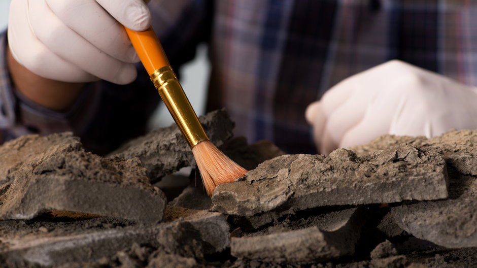 Niecodzienne odkrycie archeologiczne leśników z nadleśnictwa Elbląg