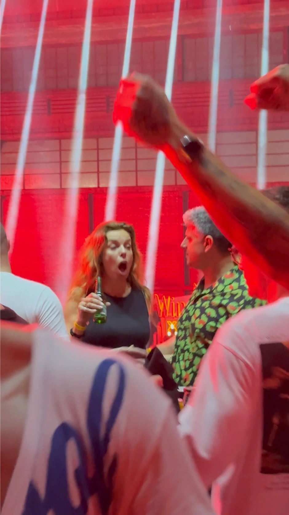 Katarina Radivojević na rejv žurki