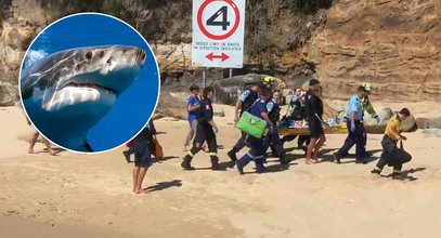 Atak rekina na popularnej plaży. Drapieżnik dopadł kobietę 15 metrów od brzegu