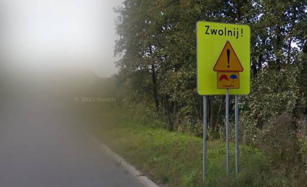 Znak „Uwaga szkoła” poprzedzający skrzyżowanie ulic Młodzieżowej i Paderewskiego w Wodzisławiu Śląskim Źródło: Google Maps
