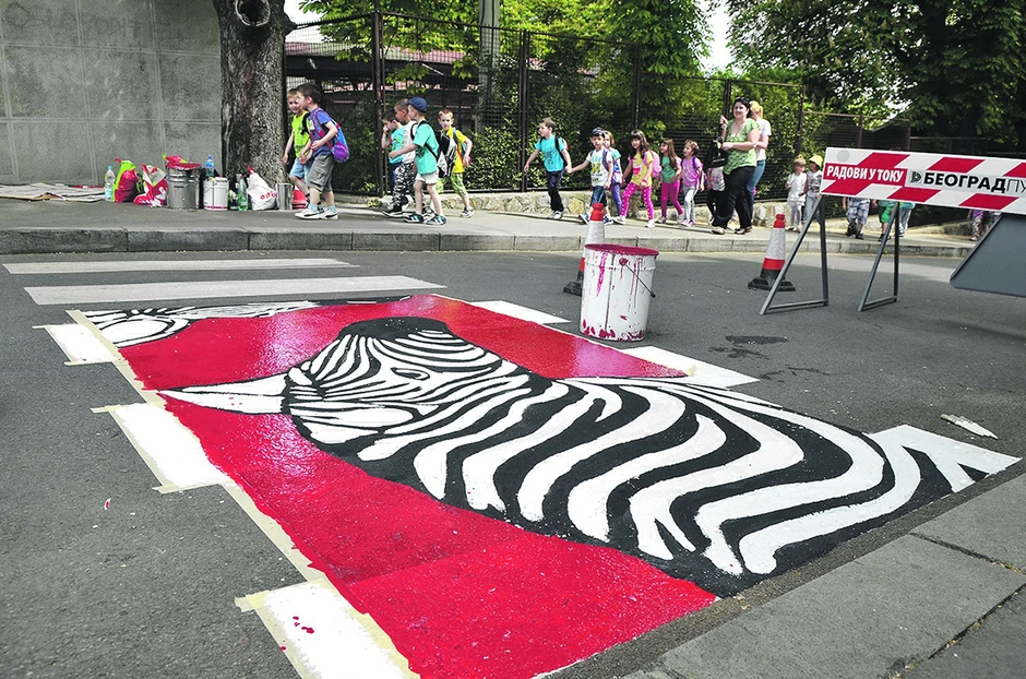 Na početku, prolaznici po pravilu izbegavaju da po zebrama gaze, ali se vremenom oslobode i na tome insistiram