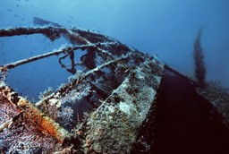 34 wraki w jednej zatoce. wiele ma ponad 1400 lat. naukowcy mówią o przełomie